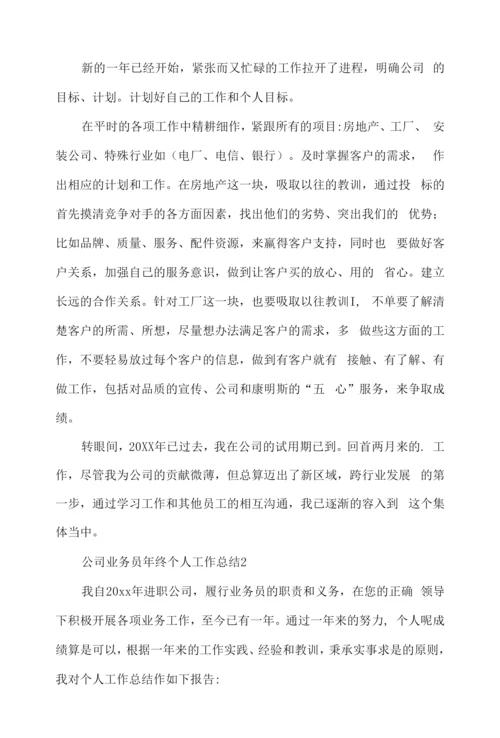 公司业务员年终个人工作总结.docx