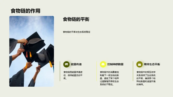 揭秘生态食物链