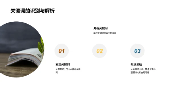现代文章深度解析