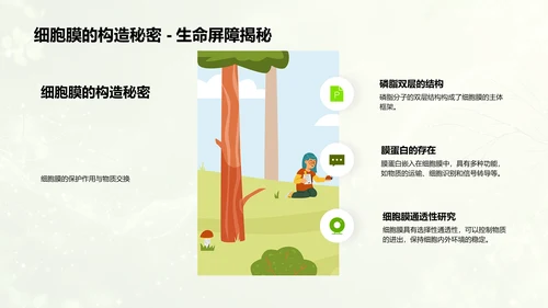 高中生物细胞学讲解