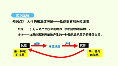 8.1.2.1免疫与计划免疫（第一课时）课件-人教版生物八年级下册(共28张PPT)