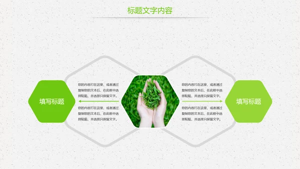 唯美绿色茶园茶文化品茶论道PPT模板