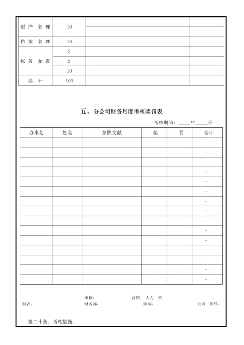 分公司财务管理新版制度.docx