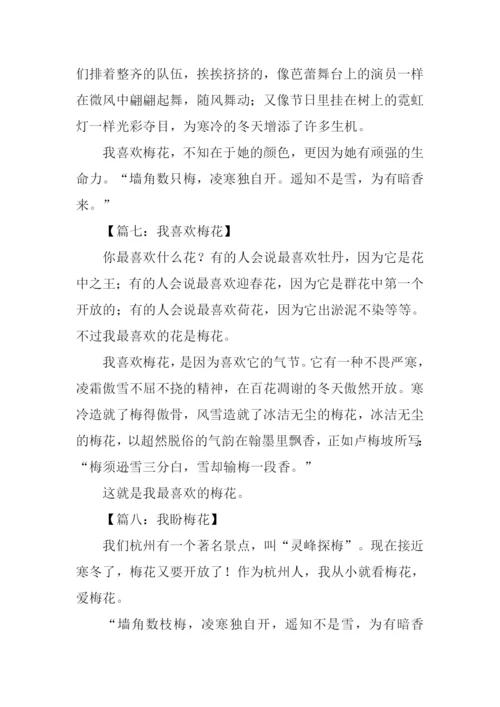 梅花作文100字0.docx
