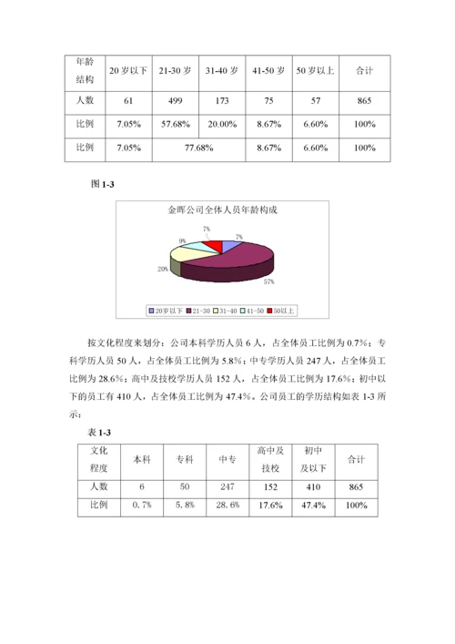 某某公司人力资源规划方案.docx