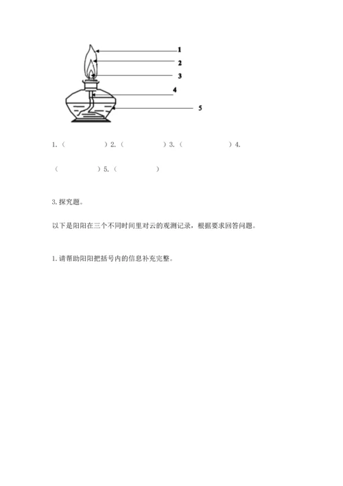 教科版三年级上册科学期末测试卷完美版.docx