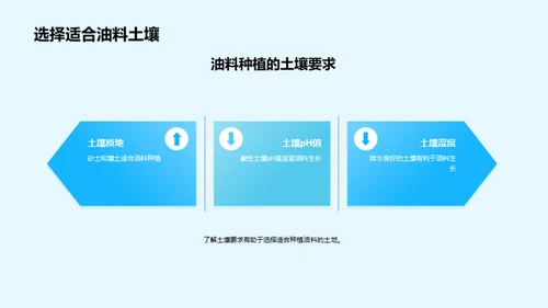 油料农业：致富新途径