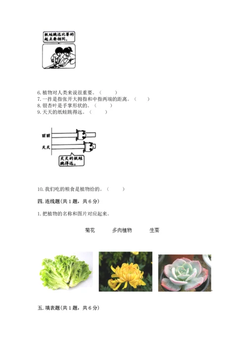 教科版一年级上册科学期末测试卷附完整答案（历年真题）.docx