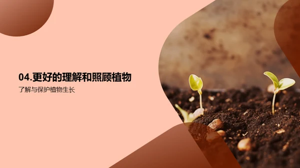 生命之源：探索植物世界