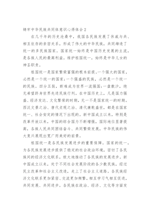 铸牢中华民族共同体意识心得体会.docx