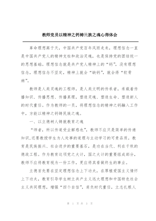 教师党员以精神之钙铸民族之魂心得体会.docx