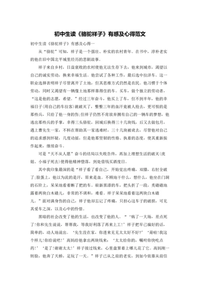 初中生读《骆驼祥子》有感及心得范文.docx