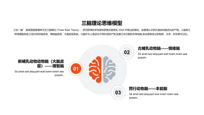 三脑理论思维模型PPT图示