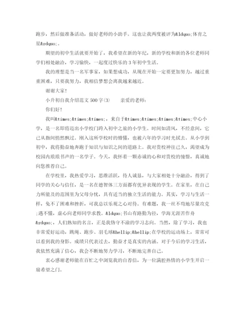 精编之小升初自我介绍范文500字.docx