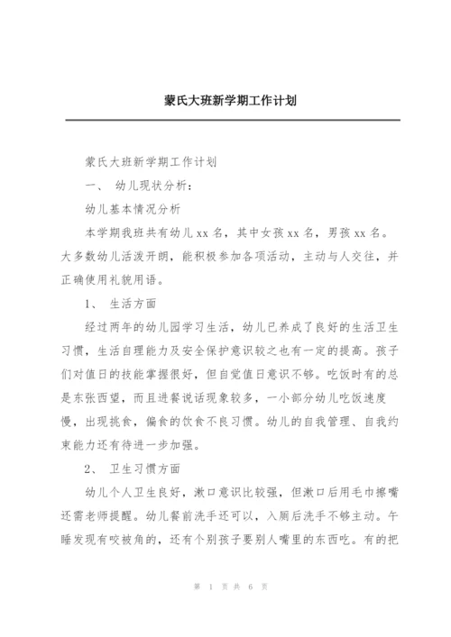 蒙氏大班新学期工作计划.docx