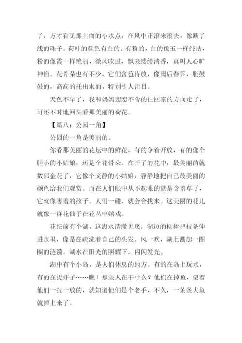 公园一角作文300字-1.docx