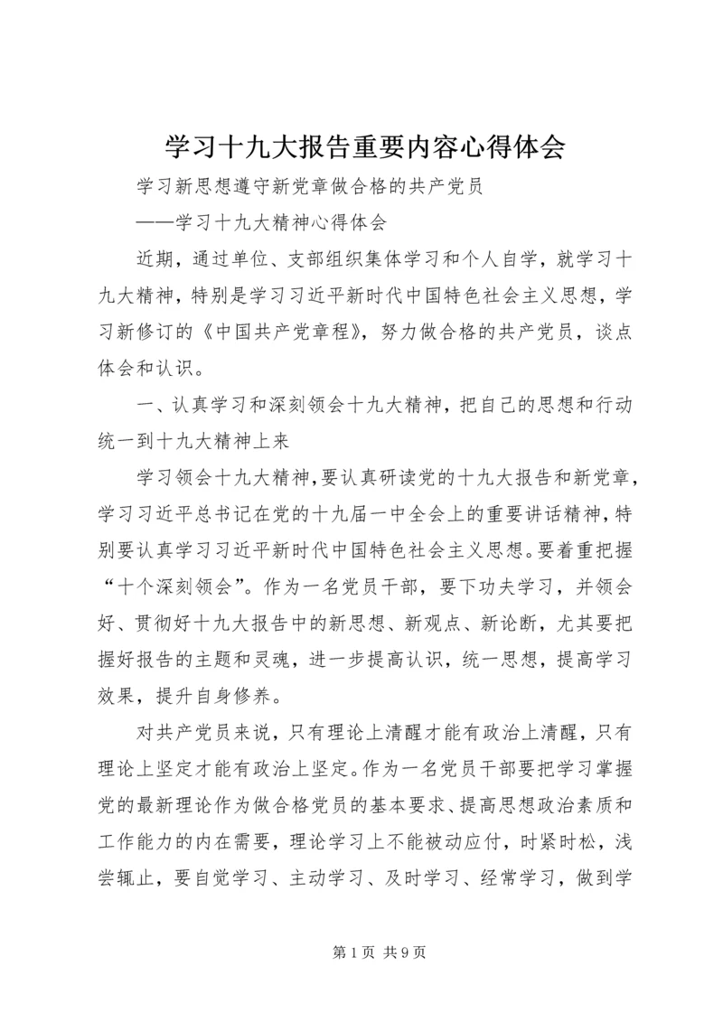 学习十九大报告重要内容心得体会 (5).docx