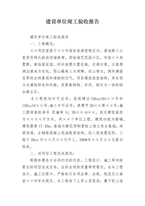 建设单位竣工验收报告_1.docx