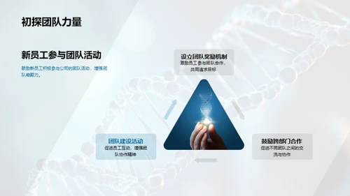 打造高效团队