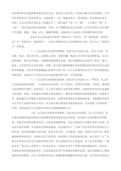 强化安全文化建设建立安全生产长效机制.docx