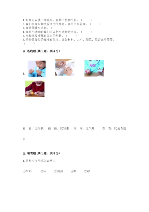 教科版小学科学一年级下册期末测试卷及参考答案（轻巧夺冠）.docx