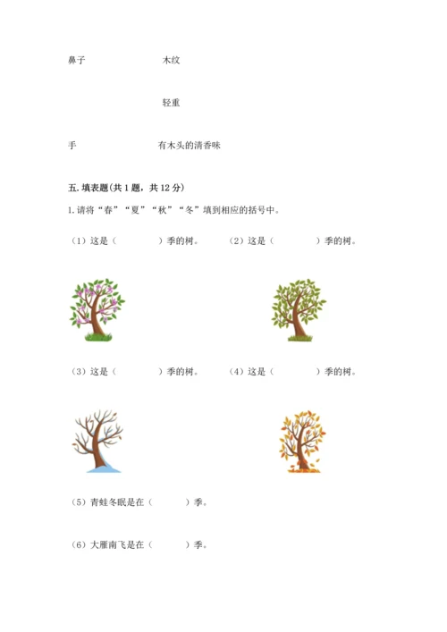 教科版科学二年级上册《期末测试卷》及一套答案.docx