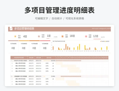 多项目管理进度明细表