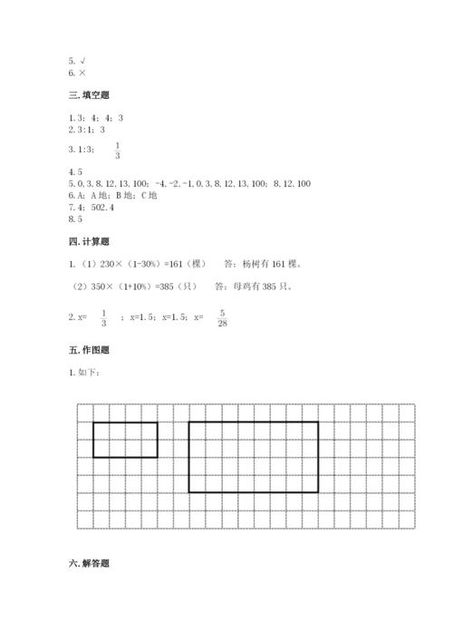 开平市六年级下册数学期末测试卷a4版.docx