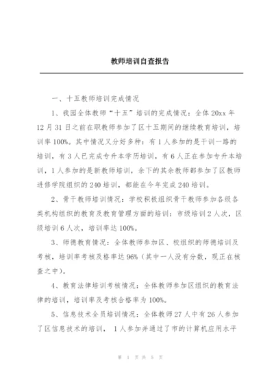 教师培训自查报告.docx