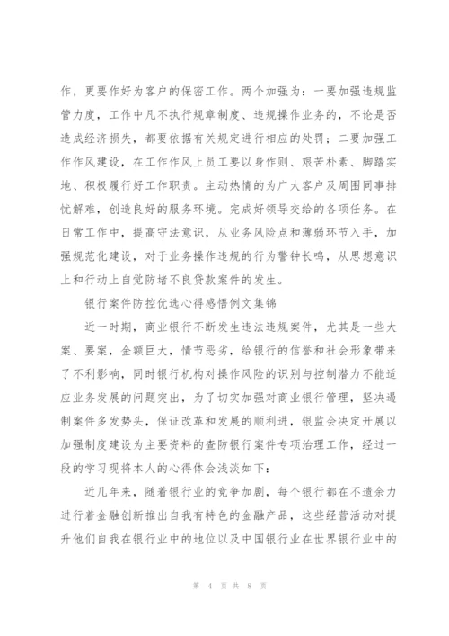 银行案件防控优选心得感悟例文集锦.docx