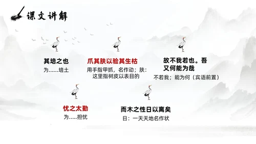 灰色淡水墨风种树郭橐驼传说课PPT模板高中语文PPT
