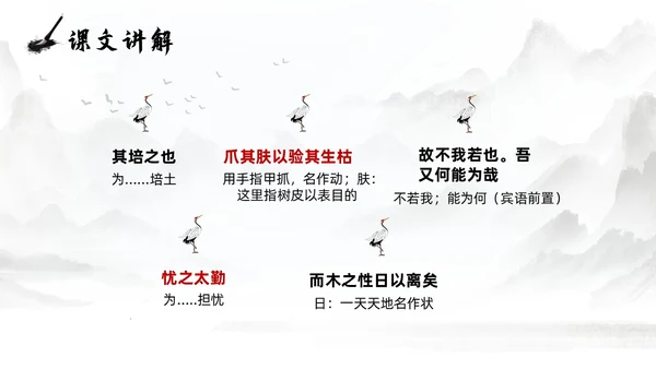 灰色淡水墨风种树郭橐驼传说课PPT模板高中语文PPT