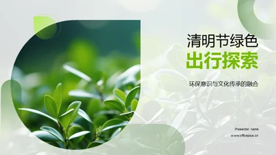 清明节绿色出行探索