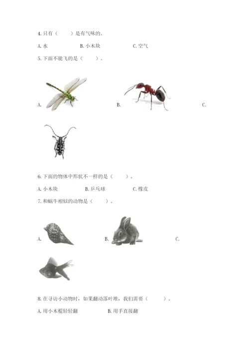 教科版一年级下册科学期末测试卷精品【基础题】.docx