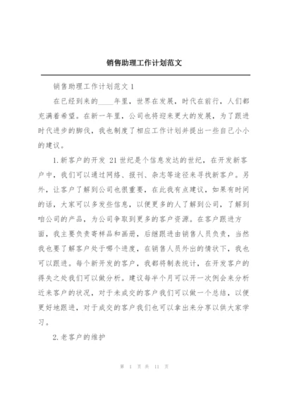 销售助理工作计划范文.docx