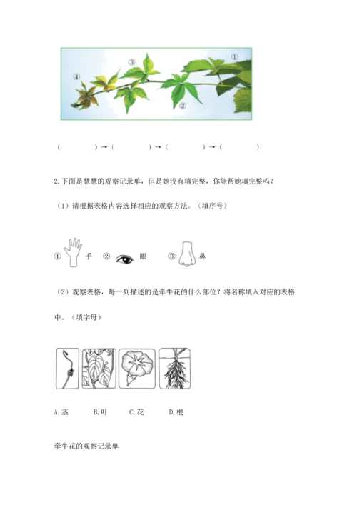 教科版科学一年级上册第一单元《植物》测试卷附参考答案【完整版】.docx