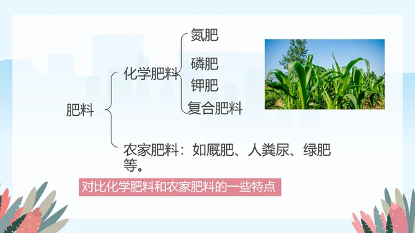 人教版九年级化学《化学肥料》PPT课件