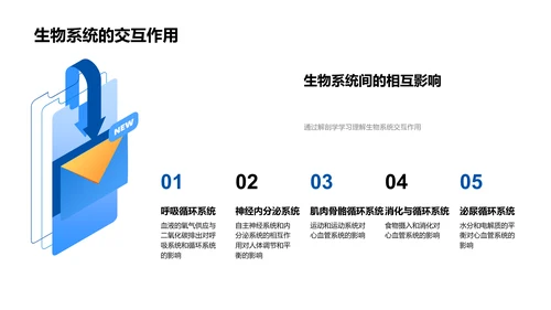 解剖学基础课程PPT模板