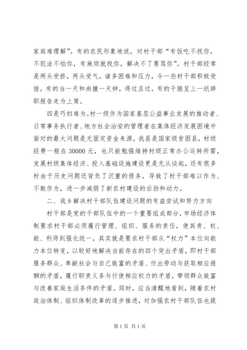 村干部队伍建设调研报告范文大全.docx