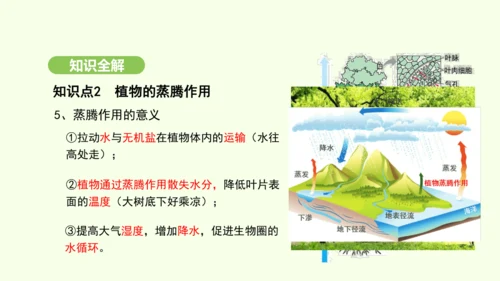 第三单元-第二章-第一节-水的利用与散失课件-2024-2025学年七年级生物下学期人教版(2024