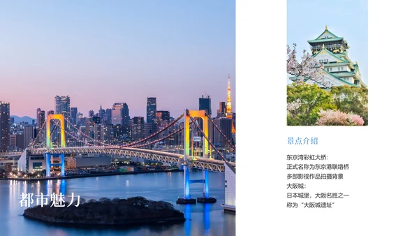 现代简约高级日本旅游攻略PPT模板