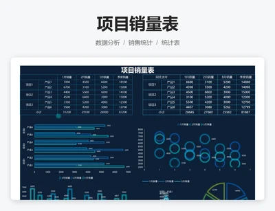 项目销量表