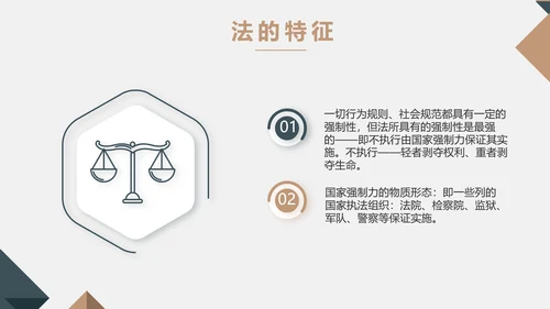 严谨大气法律法学律师工作汇报动态PPT模板