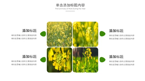 春天乡村旅游油菜花风景油菜花田PPT模板