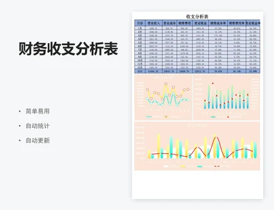 财务收支分析表