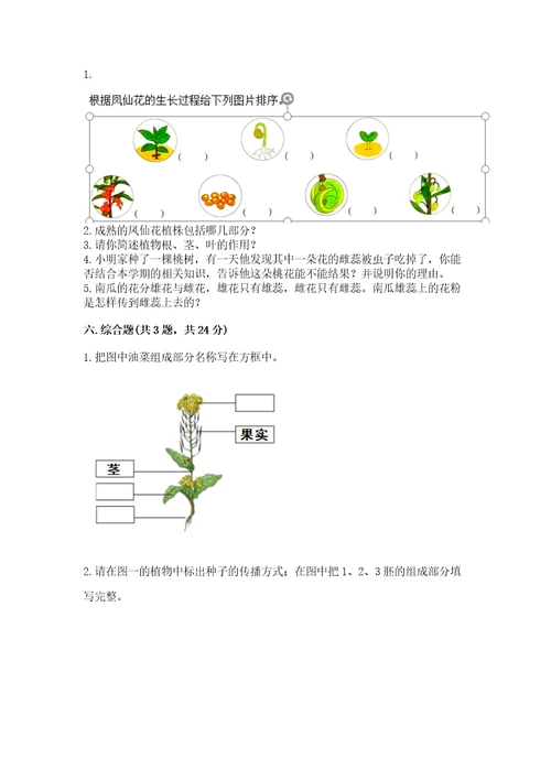 教科版科学四年级下册第一单元植物的生长变化测试卷完整参考答案