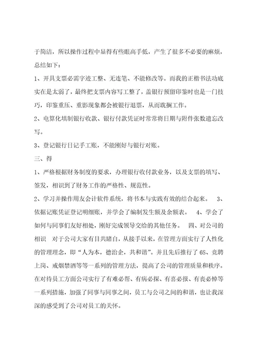出纳试用期工作总结格式