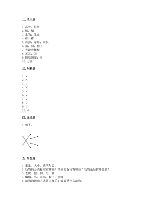 教科版一年级下册科学期末测试卷【突破训练】.docx