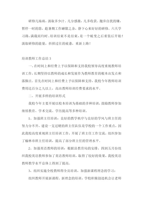 培训教师工作总结.docx