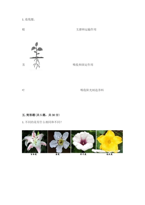 科学四年级下册第一单元植物的生长变化测试卷word版.docx